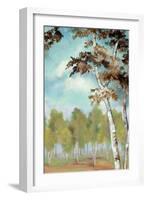 Birch Forest II-Margaret Ferry-Framed Art Print