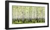 Birch forest in spring-null-Framed Art Print