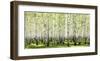 Birch forest in spring-null-Framed Art Print