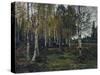 Birch forest in the autumn, 1880-Gerhard Peter Frantz Vilhelm Munthe-Stretched Canvas