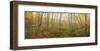 Birch Forest Panorama-Michael Hudson-Framed Art Print