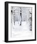 Birch Forest Path-Parker Greenfield-Framed Art Print