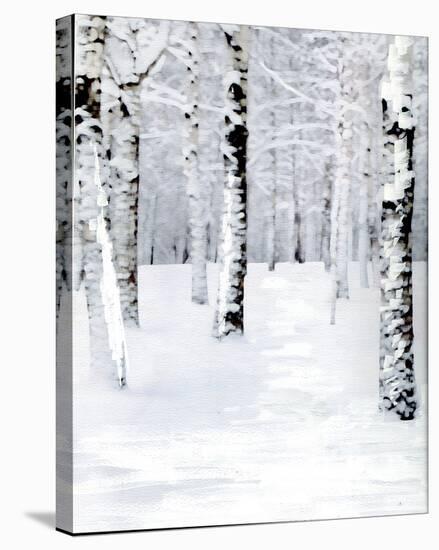 Birch Forest Path-Parker Greenfield-Stretched Canvas