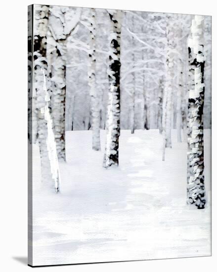 Birch Forest Path-Parker Greenfield-Stretched Canvas