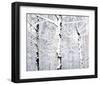 Birch Forest Winter-Parker Greenfield-Framed Art Print