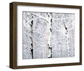 Birch Forest Winter-Parker Greenfield-Framed Art Print