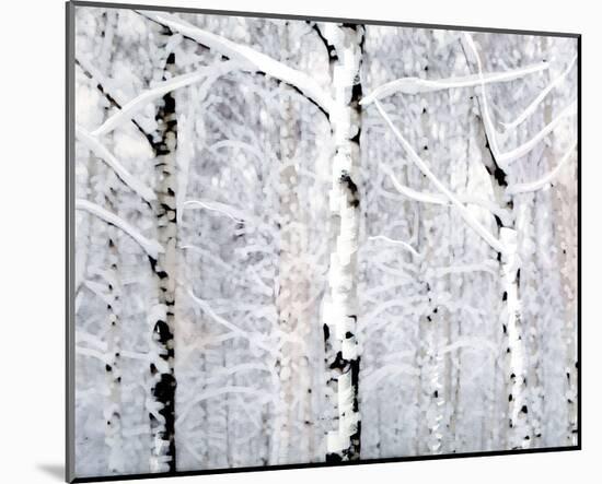 Birch Forest Winter-Parker Greenfield-Mounted Art Print