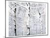Birch Forest Winter-Parker Greenfield-Mounted Art Print