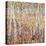 Birch Forest-Jean Cauthen-Stretched Canvas