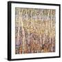 Birch Forest-Jean Cauthen-Framed Art Print