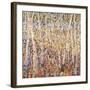 Birch Forest-Jean Cauthen-Framed Art Print