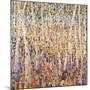 Birch Forest-Jean Cauthen-Mounted Art Print