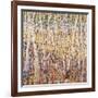 Birch Forest-Jean Cauthen-Framed Art Print