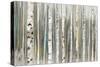 Birch Forest-Allison Pearce-Stretched Canvas