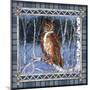 Birch Frame Plaid-Owl-Sher Sester-Mounted Giclee Print