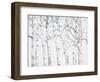 Birch Grove 1-Hope Smith-Framed Art Print