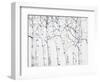 Birch Grove 1-Hope Smith-Framed Art Print