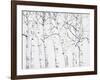 Birch Grove 1-Hope Smith-Framed Art Print