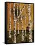 Birch Grove 1-Karla Gerard-Framed Stretched Canvas