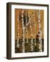 Birch Grove 1-Karla Gerard-Framed Giclee Print