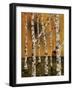 Birch Grove 1-Karla Gerard-Framed Giclee Print