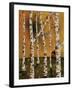 Birch Grove 1-Karla Gerard-Framed Giclee Print