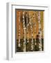 Birch Grove 1-Karla Gerard-Framed Premium Giclee Print