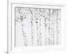 Birch Grove 2-Hope Smith-Framed Art Print