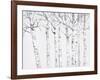 Birch Grove 2-Hope Smith-Framed Art Print