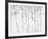 Birch Grove 2-Hope Smith-Framed Art Print