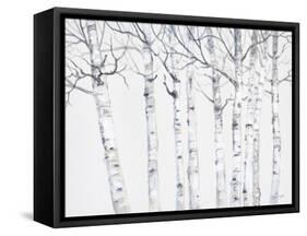 Birch Grove 2-Hope Smith-Framed Stretched Canvas