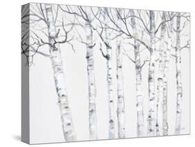 Birch Grove 2-Hope Smith-Stretched Canvas