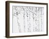 Birch Grove 2-Hope Smith-Framed Art Print