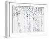 Birch Grove 2-Hope Smith-Framed Art Print