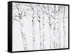 Birch Grove 2-Hope Smith-Framed Stretched Canvas