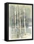 Birch Grove I-Avery Tillmon-Framed Stretched Canvas