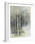 Birch Grove II-Avery Tillmon-Framed Art Print