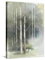 Birch Grove II-Avery Tillmon-Stretched Canvas