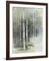 Birch Grove II-Avery Tillmon-Framed Art Print