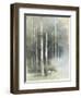 Birch Grove II-Avery Tillmon-Framed Art Print