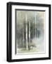 Birch Grove II-Avery Tillmon-Framed Art Print