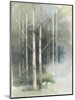Birch Grove II-Avery Tillmon-Mounted Art Print