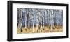 Birch grove in autumn-Oleg Znamenskiy-Framed Art Print