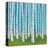 Birch Grove-Lisa Congdon-Stretched Canvas