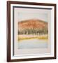 Birch Grove-Harvey Kidder-Framed Collectable Print