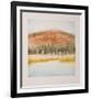 Birch Grove-Harvey Kidder-Framed Collectable Print