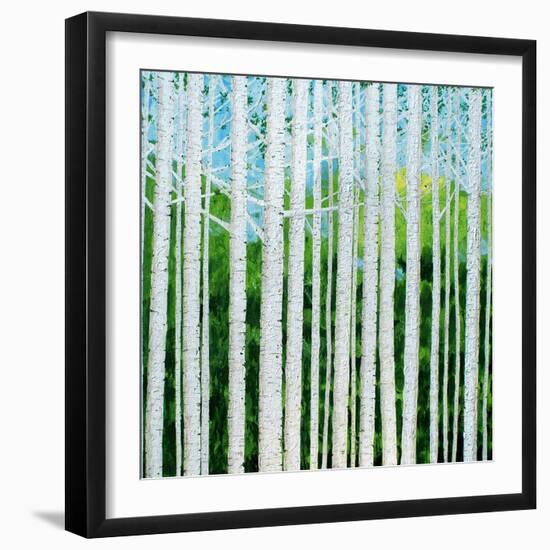 Birch Grove-Herb Dickinson-Framed Premium Photographic Print