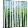 Birch Grove-Herb Dickinson-Mounted Premium Photographic Print