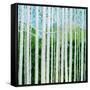Birch Grove-Herb Dickinson-Framed Stretched Canvas