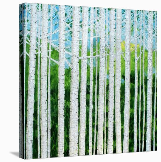 Birch Grove-Herb Dickinson-Stretched Canvas